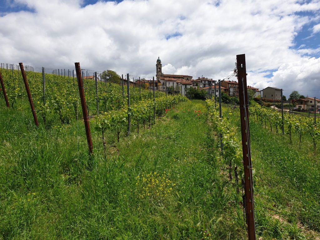 Wine&Dine Piedmont 2024