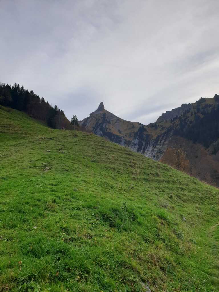 Zindelspitz vom Wägitalersee
