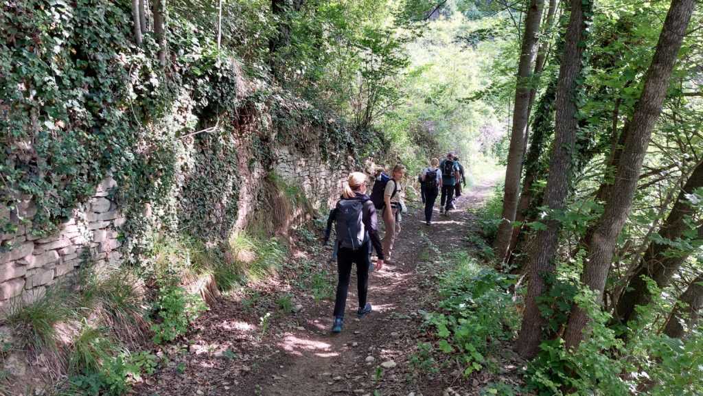 Im Sonnenschein durch den Wald ins Tal hinunter