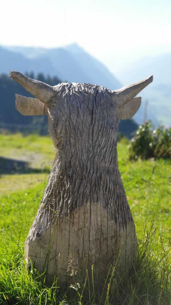 Stoische Kuh mit Gonzen im Blick