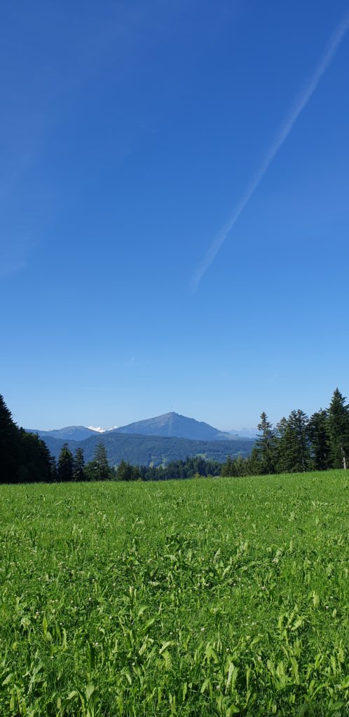 Die Rigi grüsst aus der Ferne