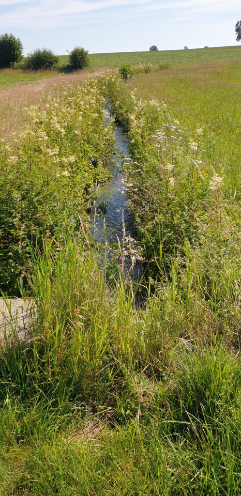 Kleines Bächlein mit kühlem Wasser