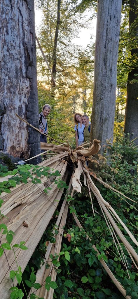 Wandergruppe neben umgestürztem Baum