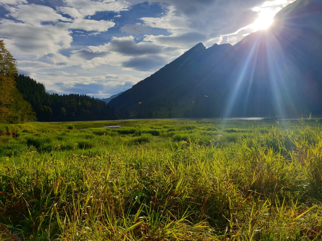 Morgenlicht am Obersee