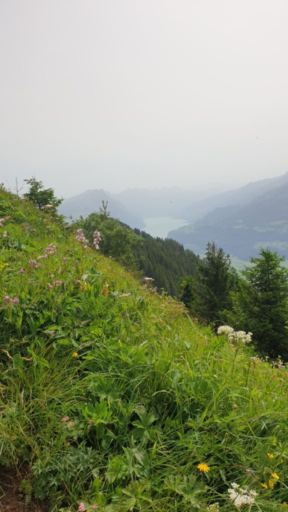 Blick Richtung Walensee