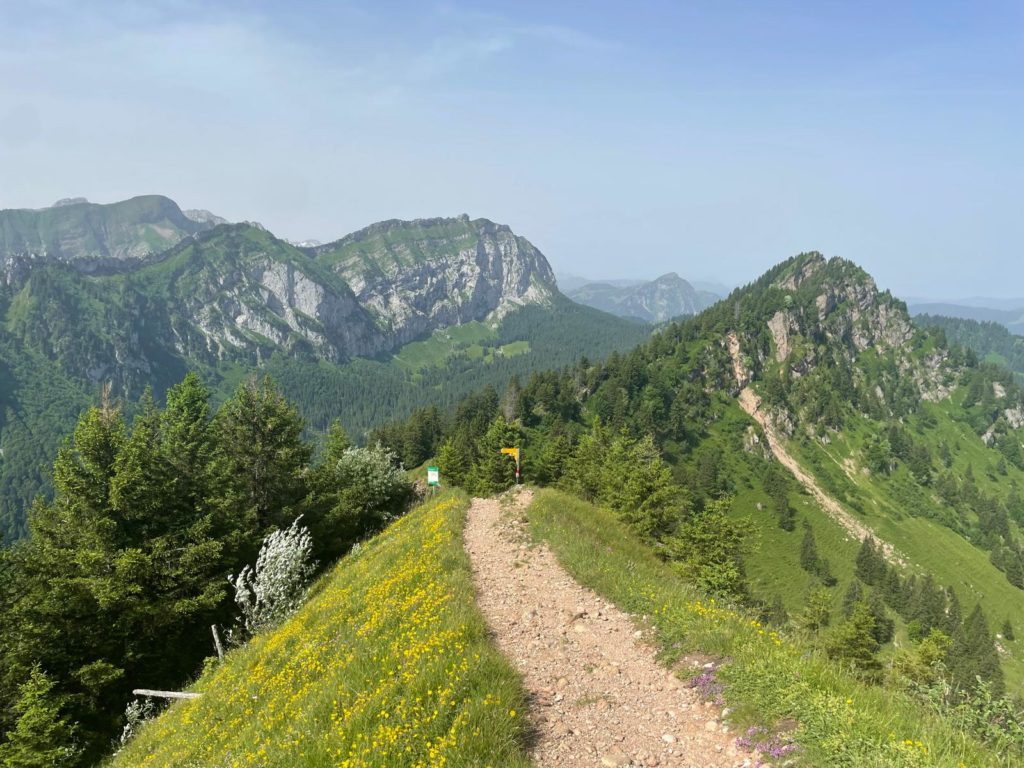 Blick Hirzli Richtung Planggenstock